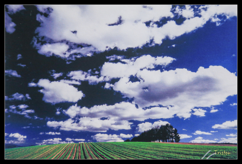 jh1a8720_21943601421_o.jpg - 20011002 北海道蜜月旅行