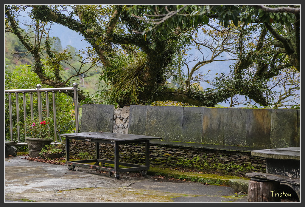 JH1A8212.jpg - 20160111 吉露、阿禮部落