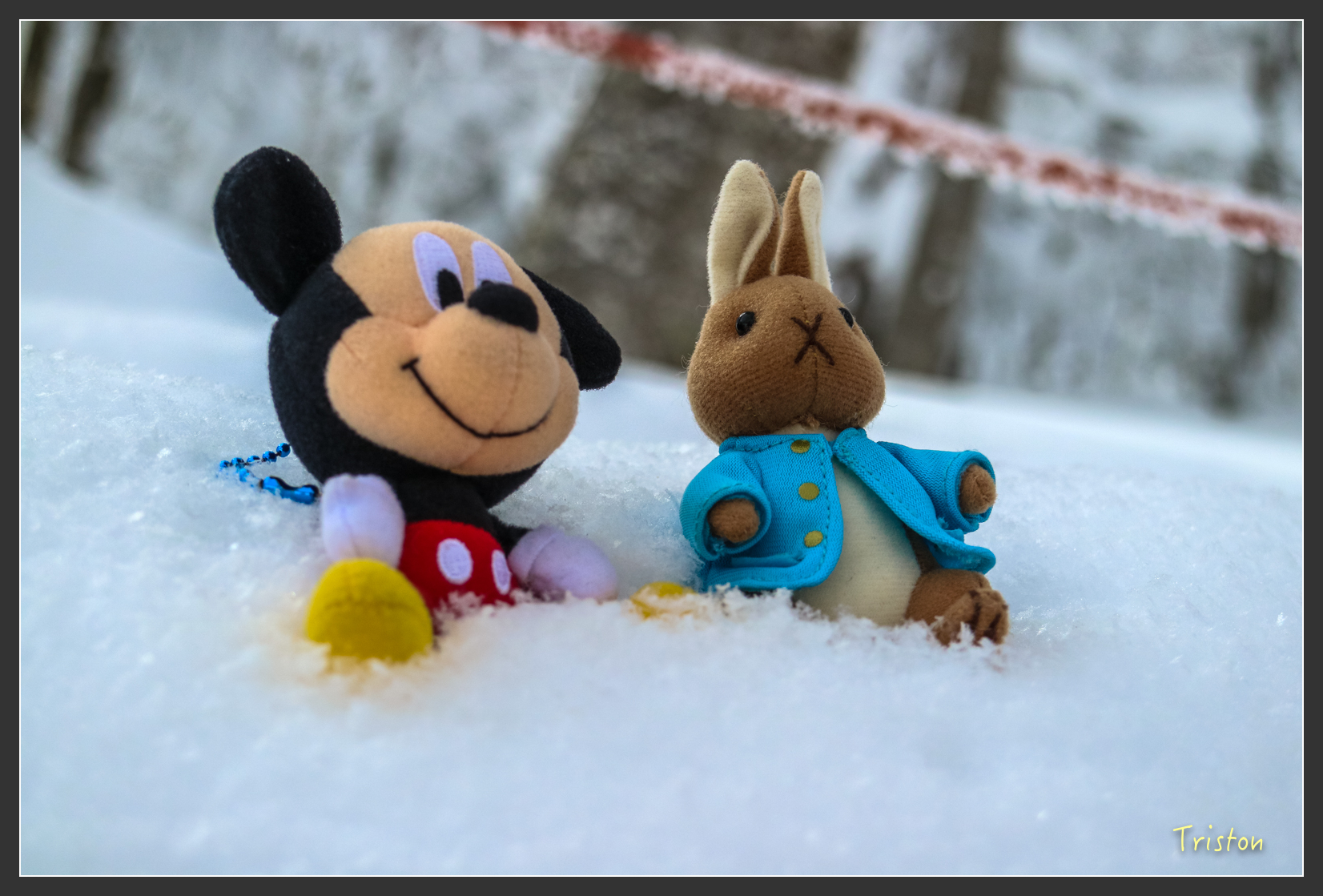 2016ZAO-01778.jpg - 20160131 日本藏王溫泉滑雪親子行