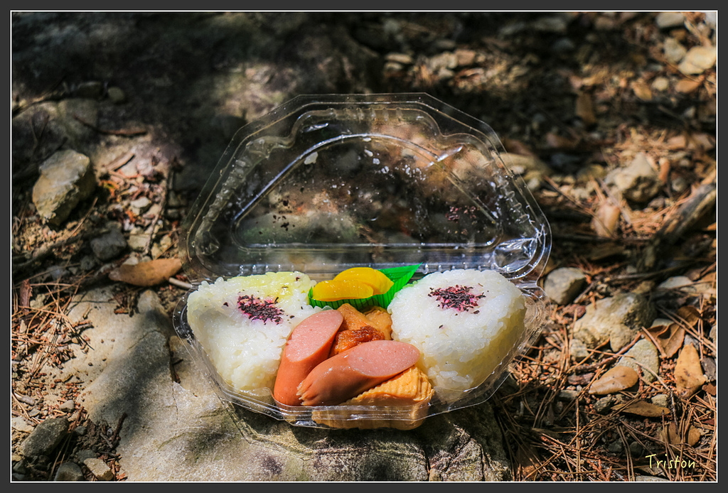 IMG_4775.jpg - 20160323 日本熊野古道健行