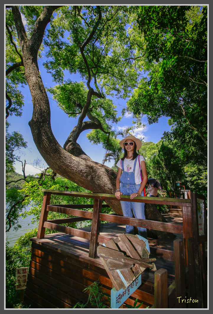 _MG_8875.jpg - 20160712 苗栗薰衣草森林