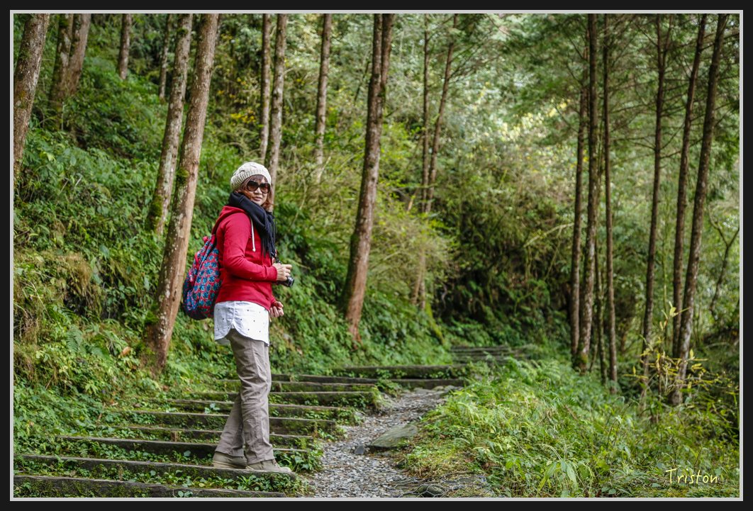 00106.jpg - 20161231 明池 神木園