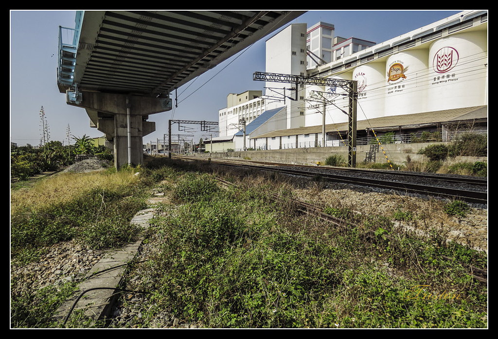 IMG_0054.jpg - 20170327 二層行溪鐵橋+環頸雉