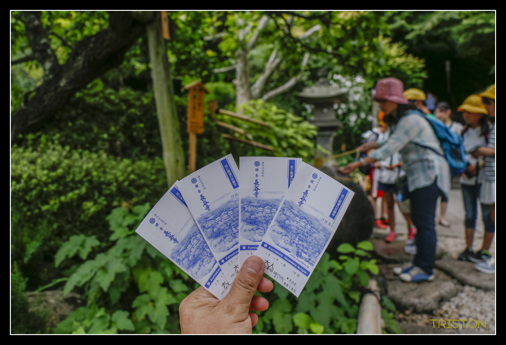 _MG_1444.jpg - 20170702 靜岡東海道之旅
