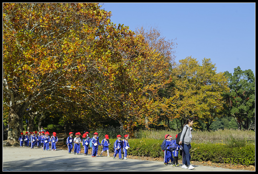 _H1A1635.jpg - 20171103 日本只見線、會津若松五色沼、昭和記念公園賞紅葉