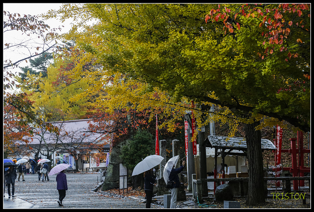 _H1A0901.jpg - 20171103 日本只見線、會津若松五色沼、昭和記念公園賞紅葉
