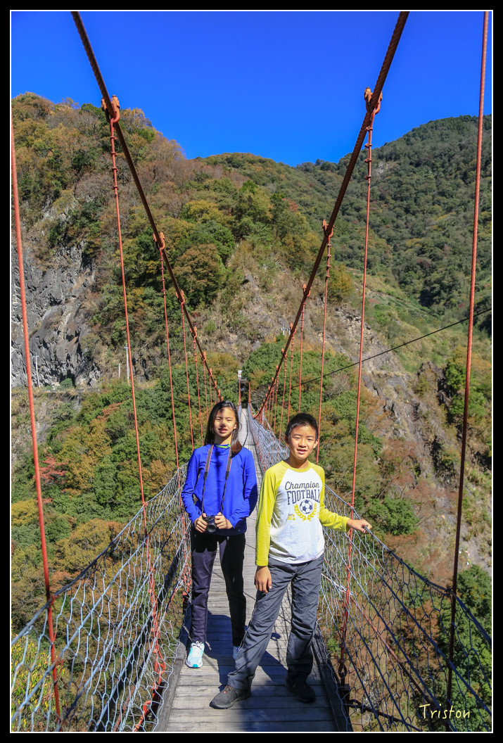 JH1A0572.jpg - 20151205 合歡溪步道、108K楓之谷