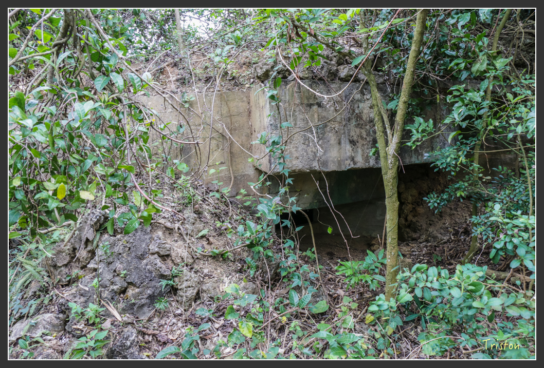 IMG_3201.jpg - 20160220 小崗山健行步道