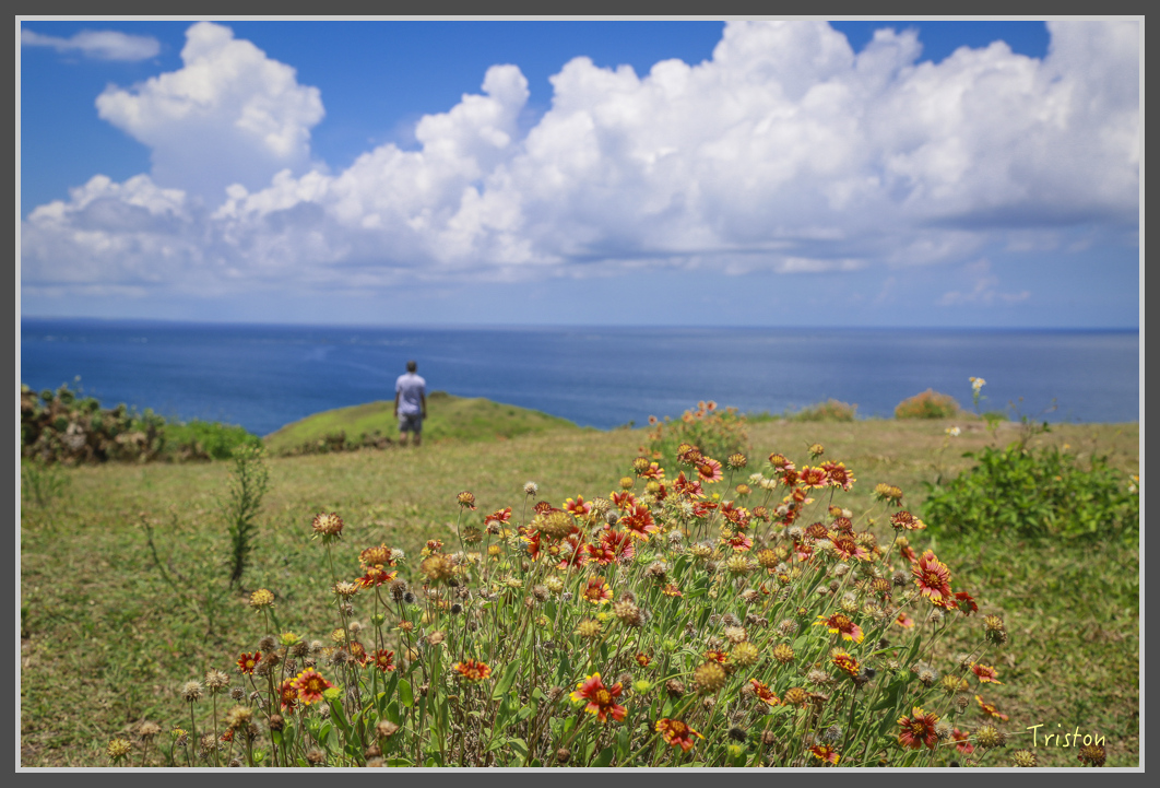 JH1A1456.jpg - 20160701 澎湖