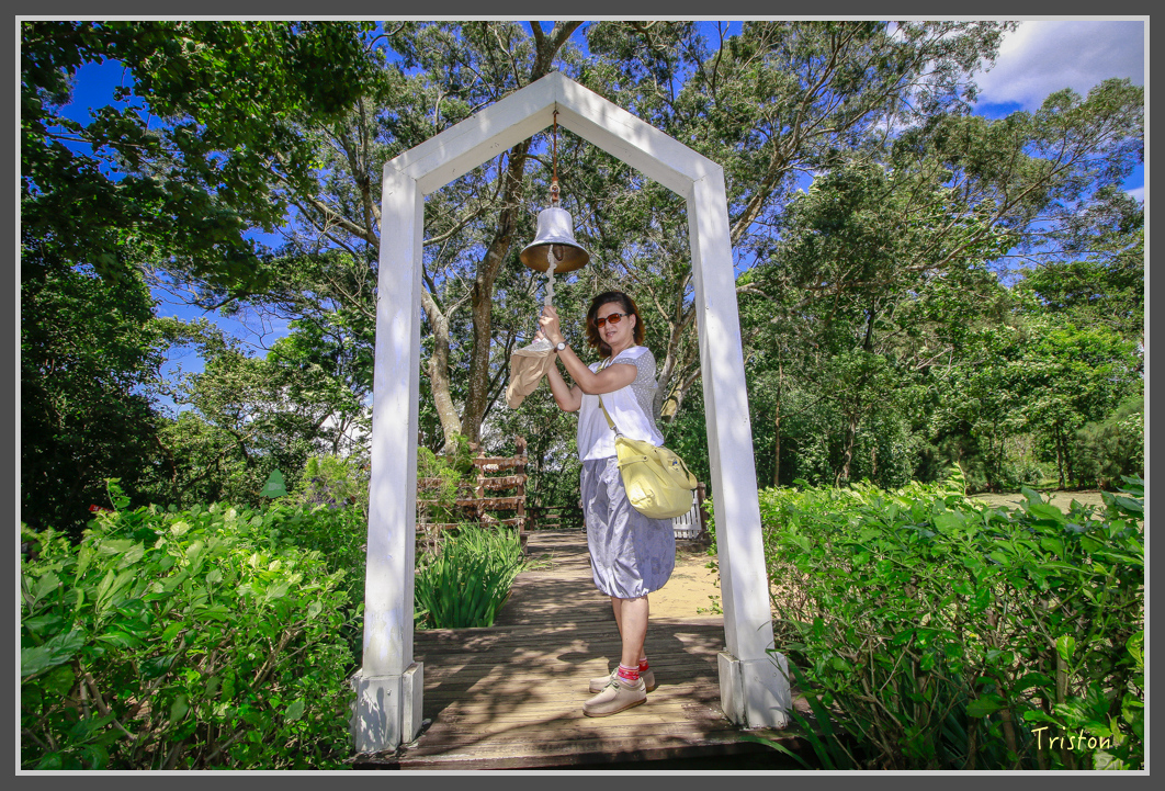 _MG_8887.jpg - 20160712 苗栗薰衣草森林