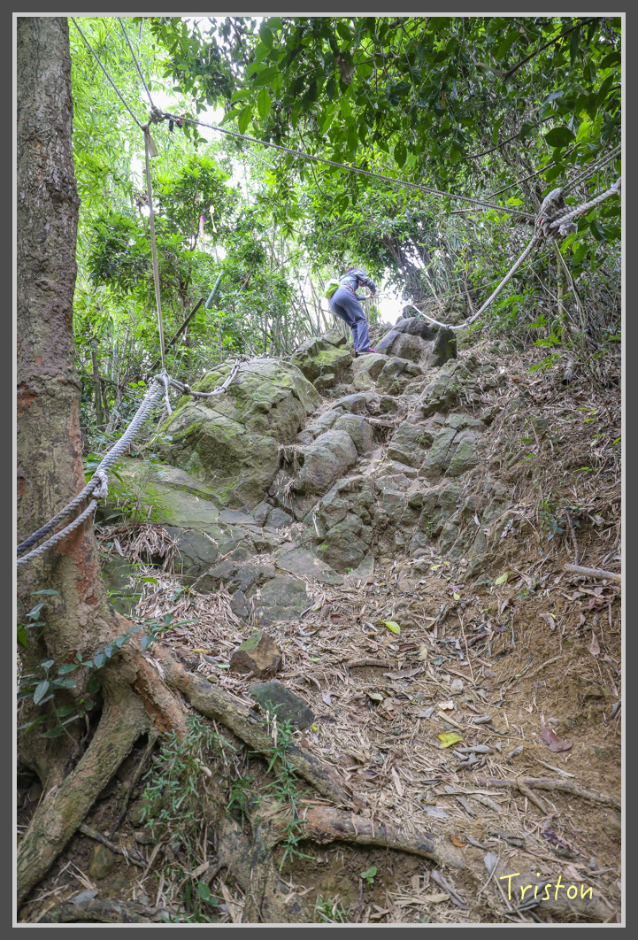 IMG_1926.jpg - 20161130 高雄旗尾山