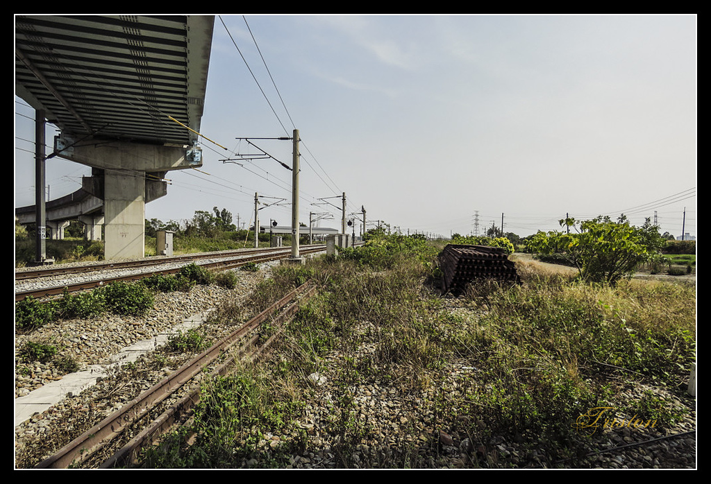 IMG_0055.jpg - 20170327 二層行溪鐵橋+環頸雉