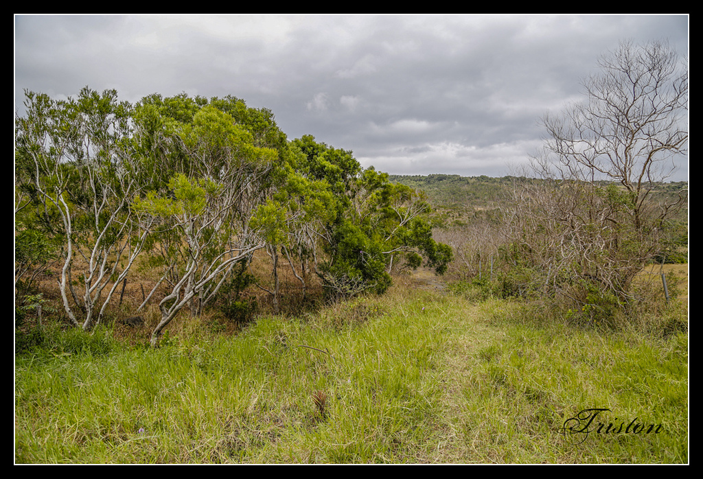 _H1A3236.jpg - 20170401 墾丁