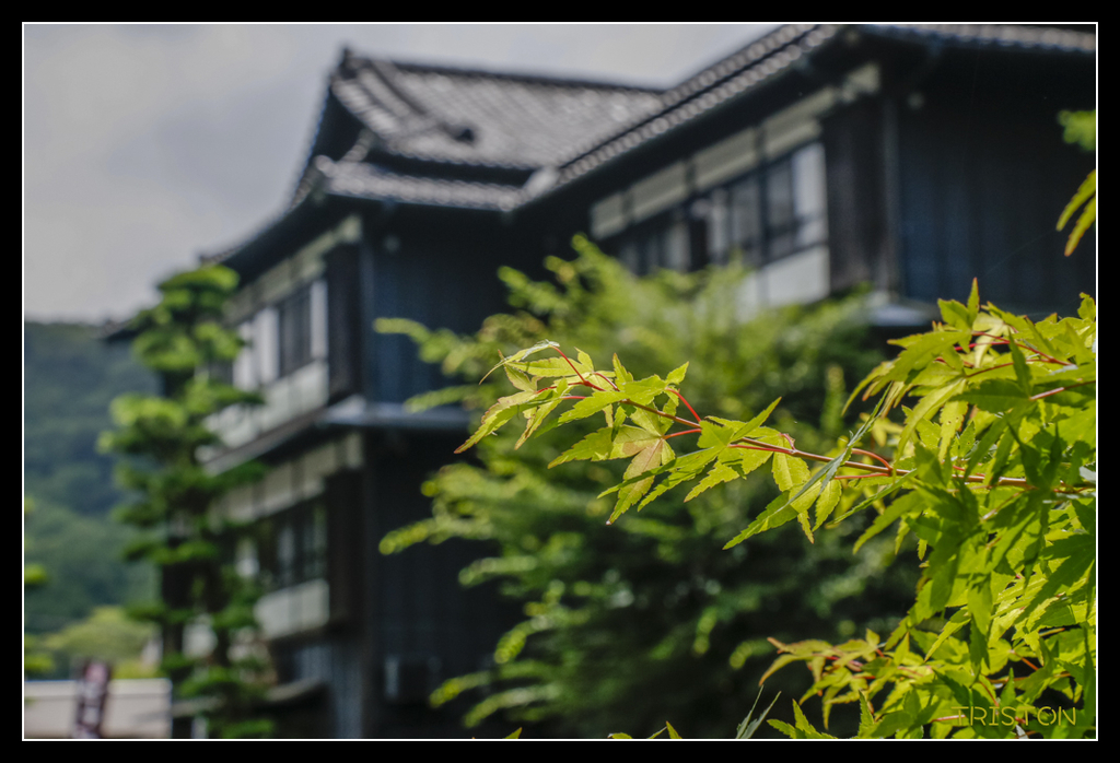 _MG_1265.jpg - 20170702 靜岡東海道之旅