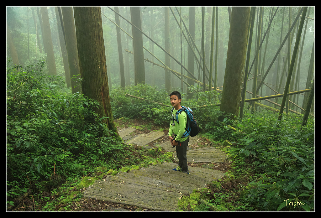 JH1A9789.jpg - 20150920 石棹,霧之道 茶之道 雲之道