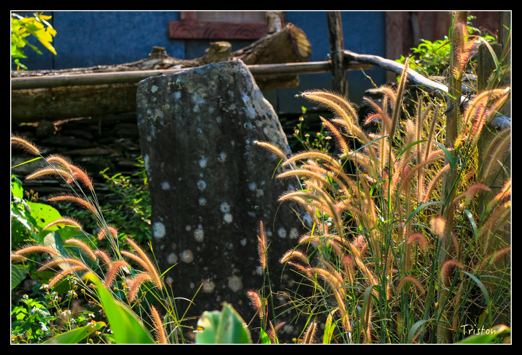 IMG_9561.jpg - 20151202 老七佳部落