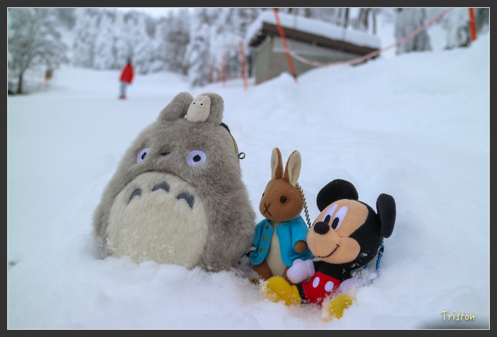 2016ZAO-01791.jpg - 20160131 日本藏王溫泉滑雪親子行