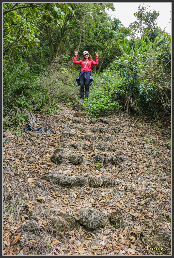 IMG_3204.jpg - 20160220 小崗山健行步道