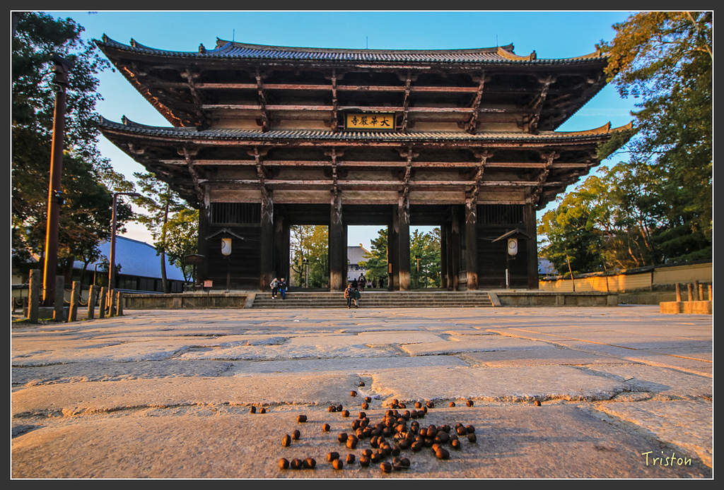 IMG_4251.jpg - 20160323 日本熊野古道健行