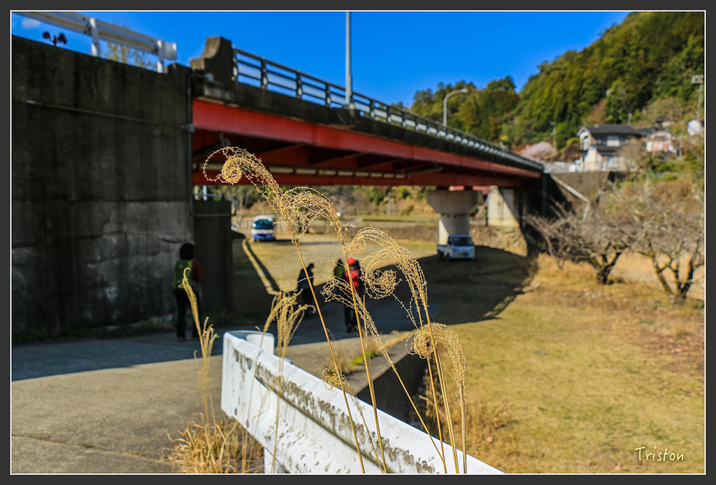 IMG_5242.jpg - 20160323 日本熊野古道健行