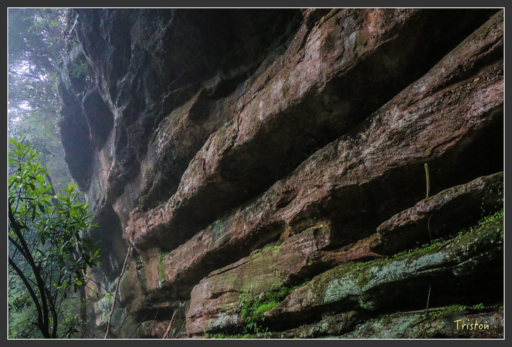 IMG_6414.jpg - 20160409 武夷山之旅