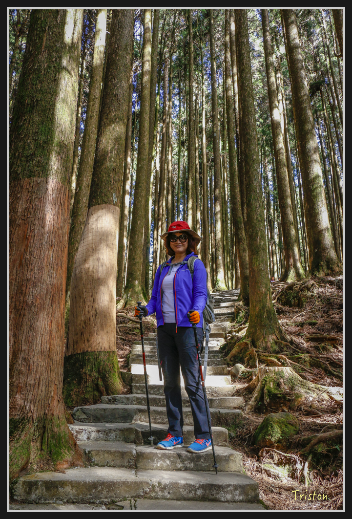 _MG_0197.jpg - 20161226 大塔山