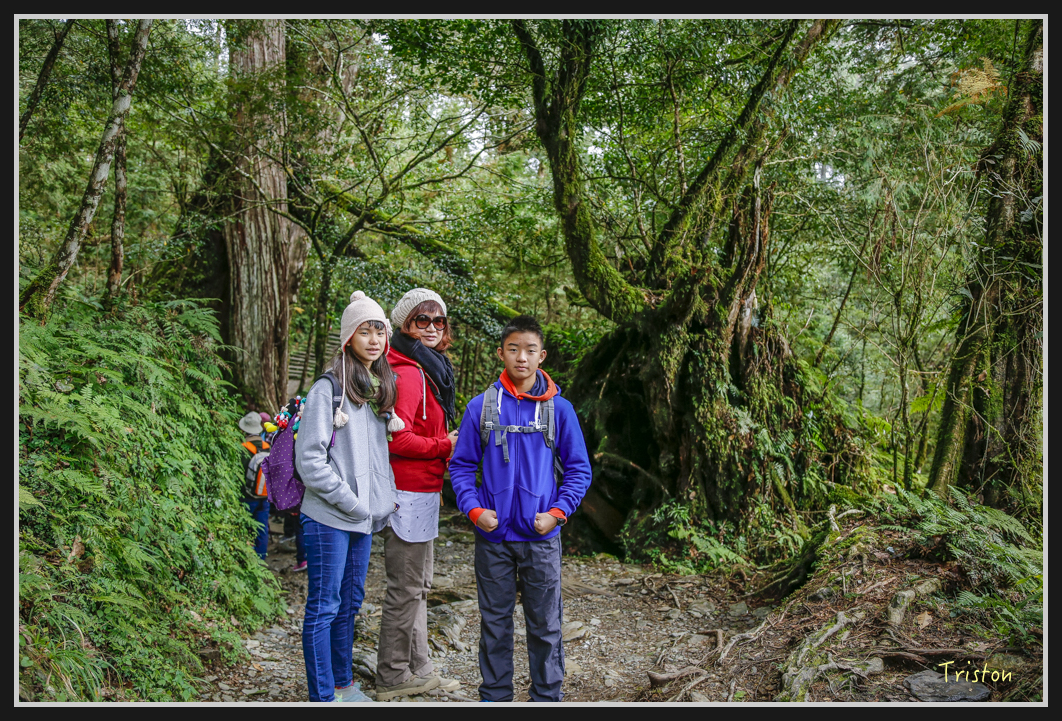 00109.jpg - 20161231 明池 神木園