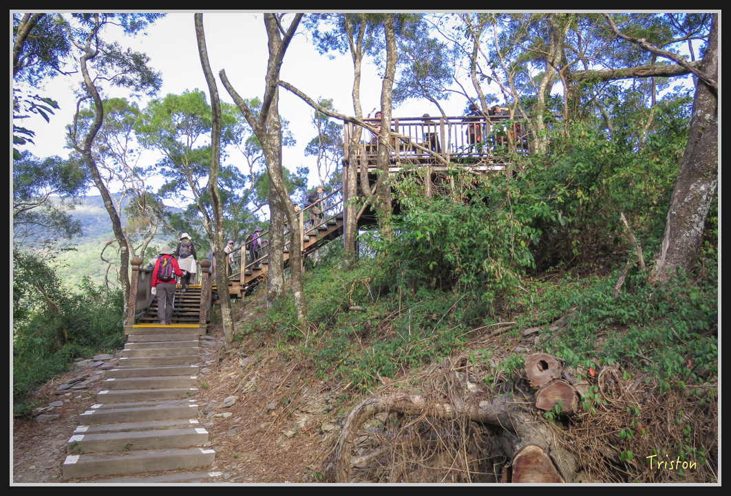 IMG_0621.jpg - 20170111 龍頭山步道、羅木斯步道、茂林谷瀑布