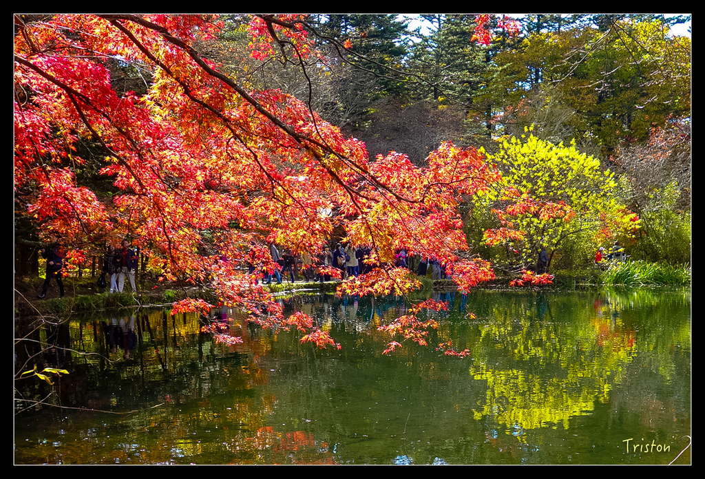 DSC00359.jpg - 20151031 秋天的童話-貴婦東京輕井澤紀行