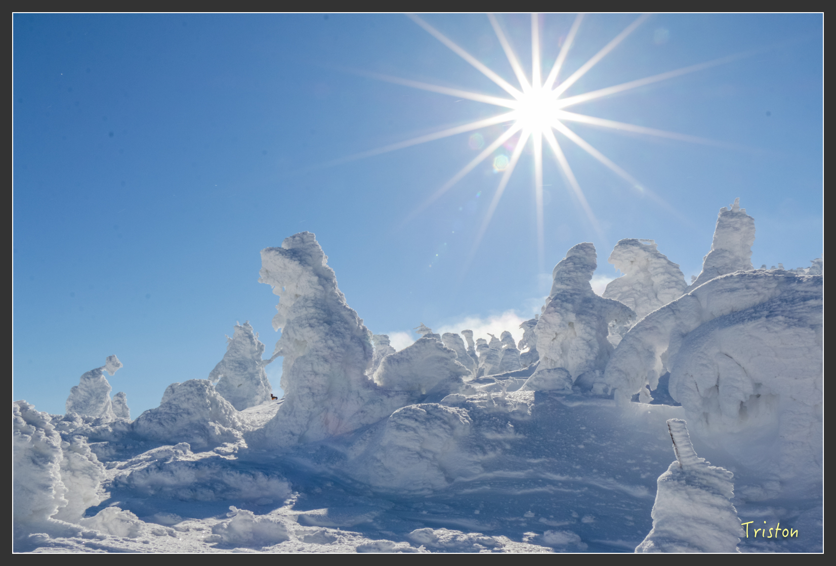 2016ZAO-01565.jpg - 20160131 日本藏王溫泉滑雪親子行