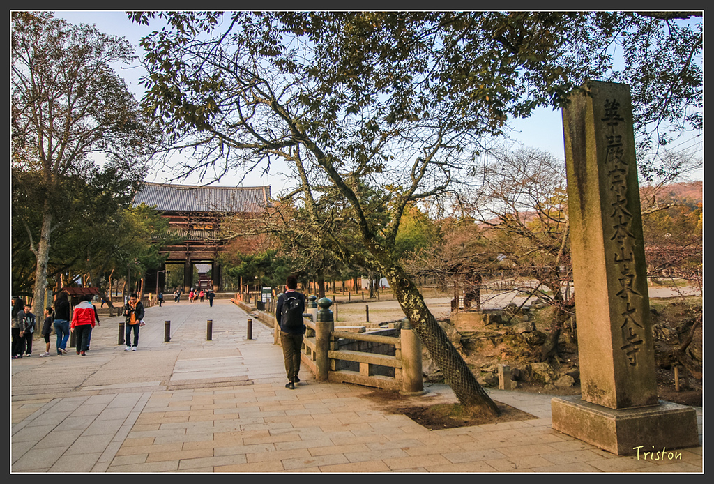 IMG_4253.jpg - 20160323 日本熊野古道健行