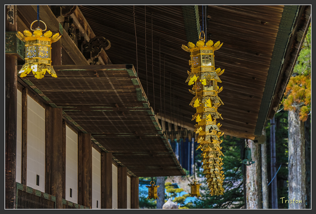 IMG_4568.jpg - 20160323 日本熊野古道健行