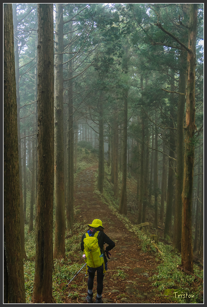 IMG_5576.jpg - 20160323 日本熊野古道健行