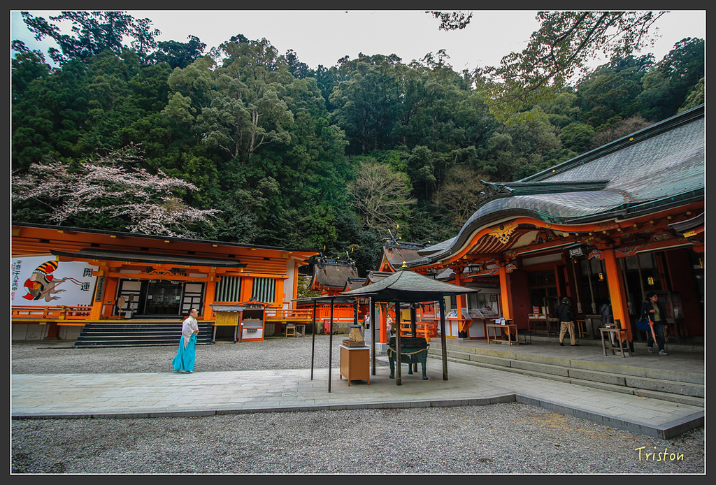 IMG_5641.jpg - 20160323 日本熊野古道健行