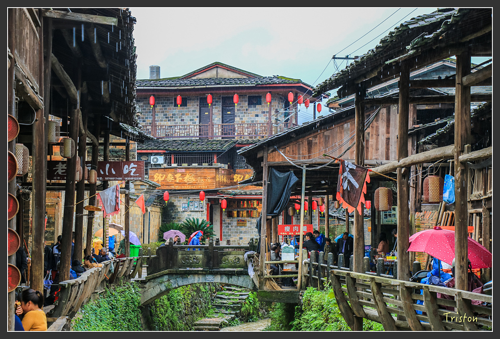 IMG_6558.jpg - 20160409 武夷山之旅