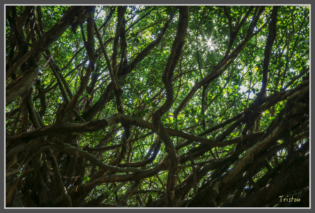 JH1A1593.jpg - 20160701 澎湖