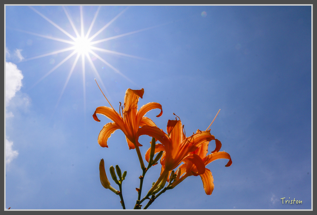 IMG-467.jpg - 20160821 中橫花東之旅