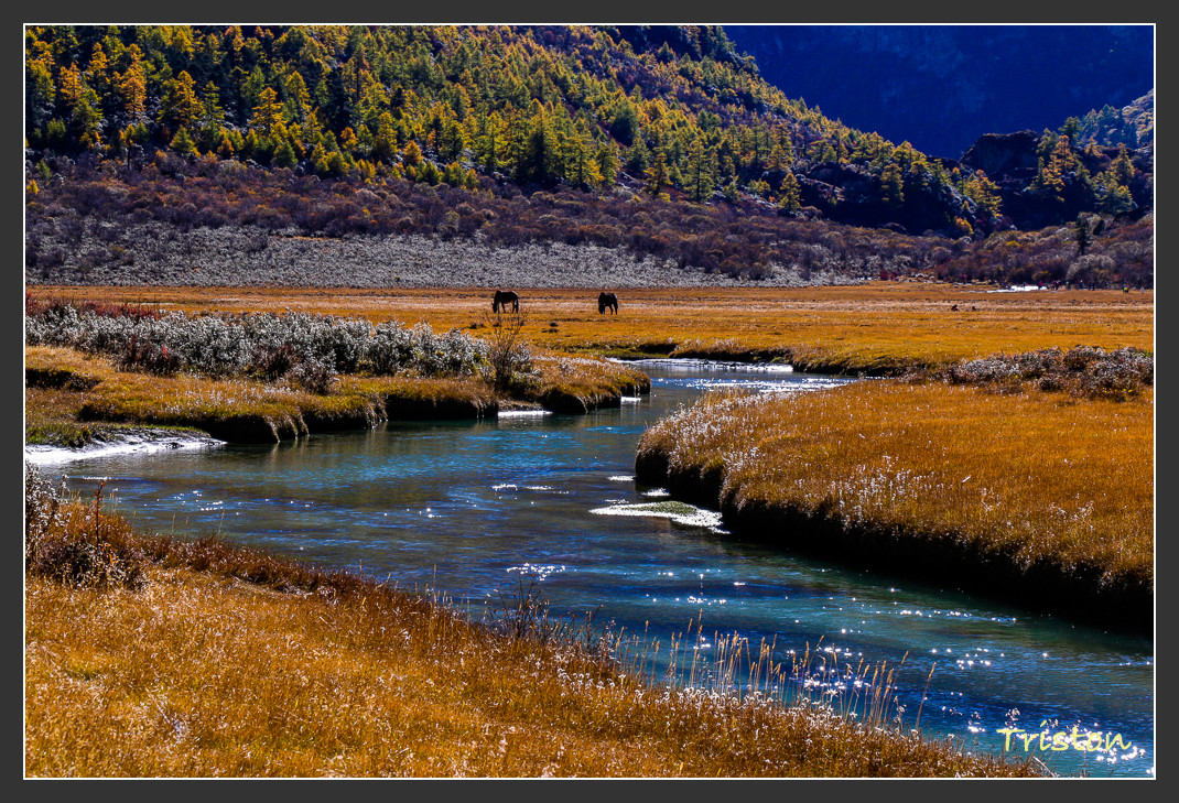 _MG_1919.jpg - 20161013 稻城亞丁
