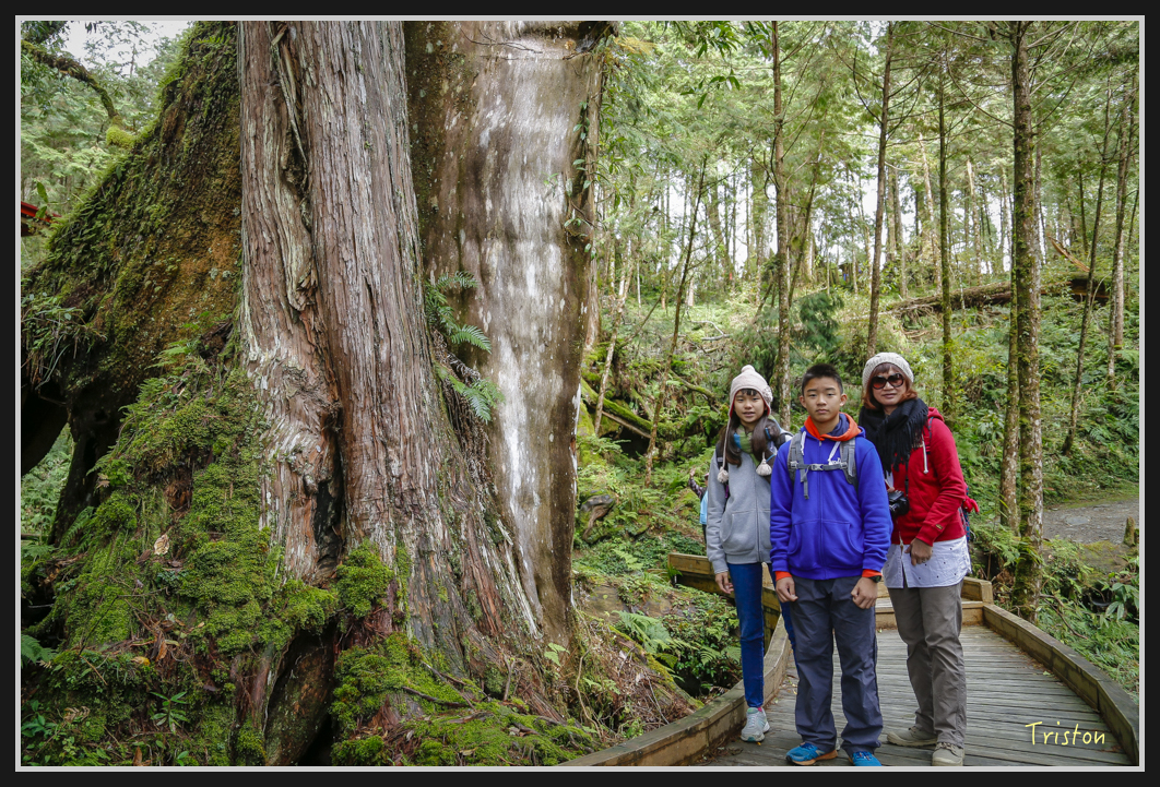 00113.jpg - 20161231 明池 神木園