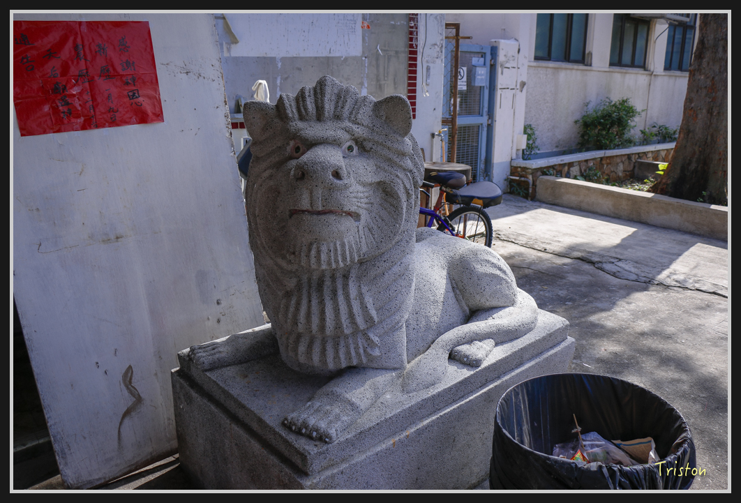 0025.jpg - 20170107 香港健行