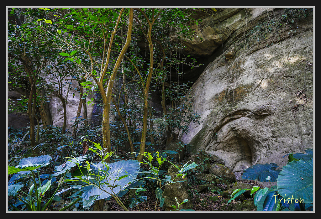 _H1A2732.jpg - 20170325 梅嶺蝙蝠洞、噍吧年事件紀念園區