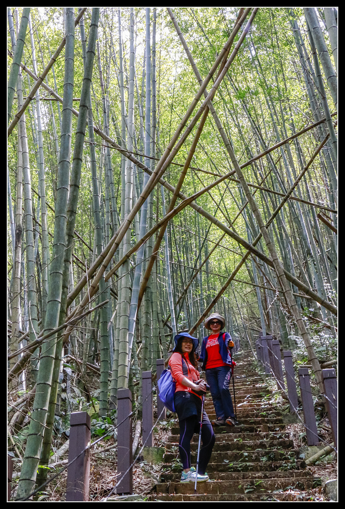 _MG_0137.jpg - 20170408 瑞太古道