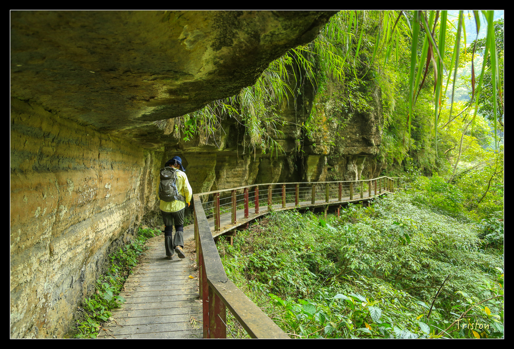 JH1A9877.jpg - 20151005 竹坑溪步道