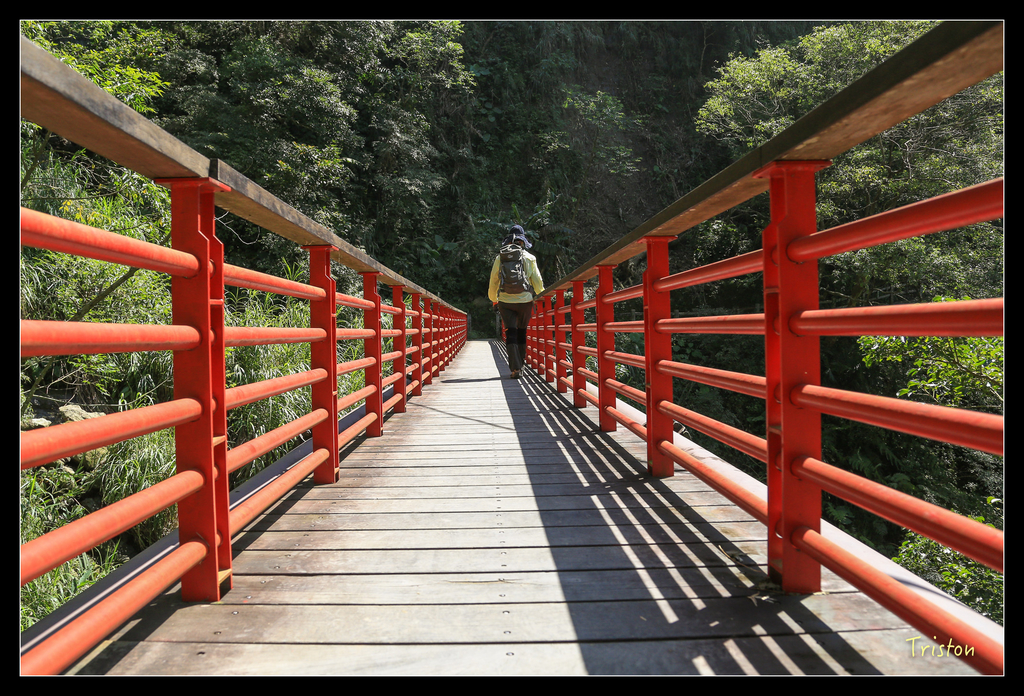 JH1A9838.jpg - 20151005 竹坑溪步道