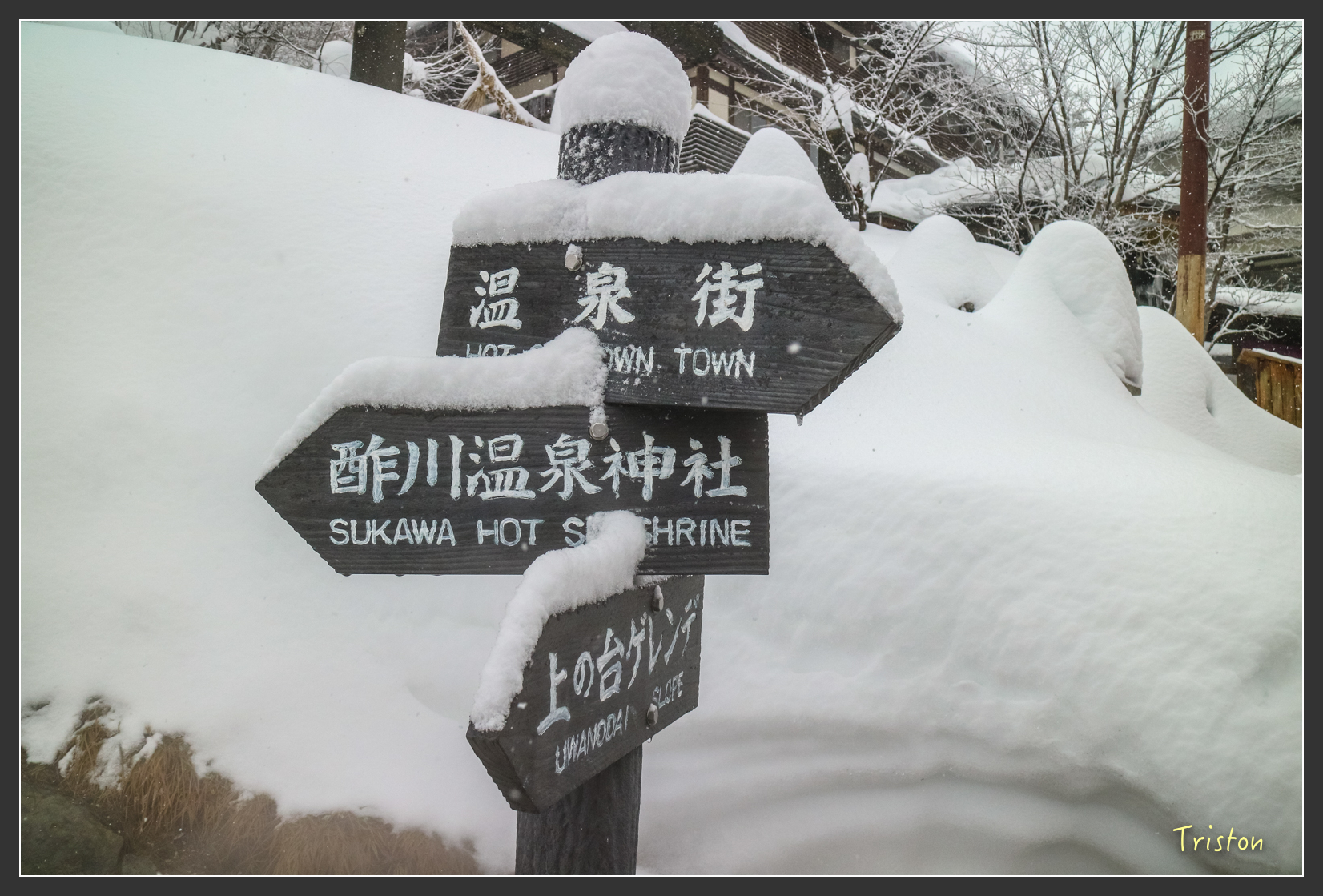 2016ZAO-01286.jpg - 20160131 日本藏王溫泉滑雪親子行