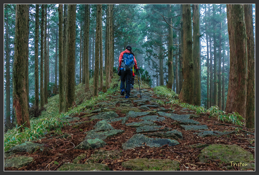 IMG_5578.jpg - 20160323 日本熊野古道健行