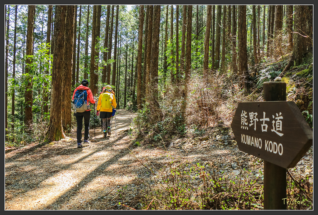 IMG_5128.jpg - 20160323 日本熊野古道健行