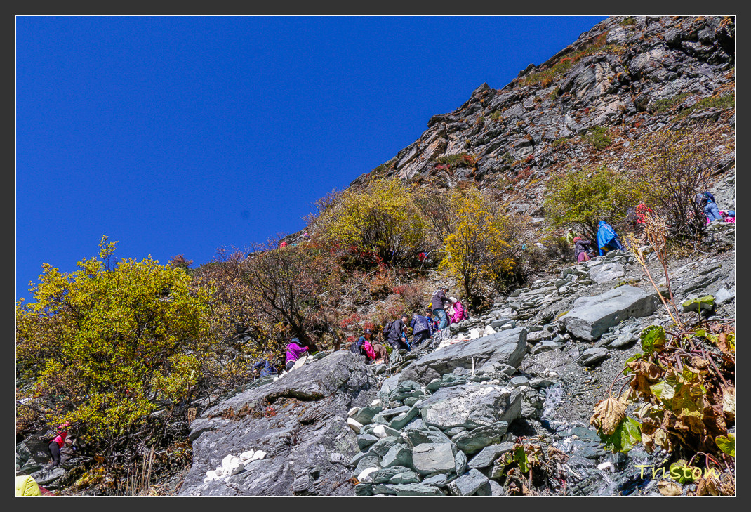 _MG_1770.jpg - 20161013 稻城亞丁