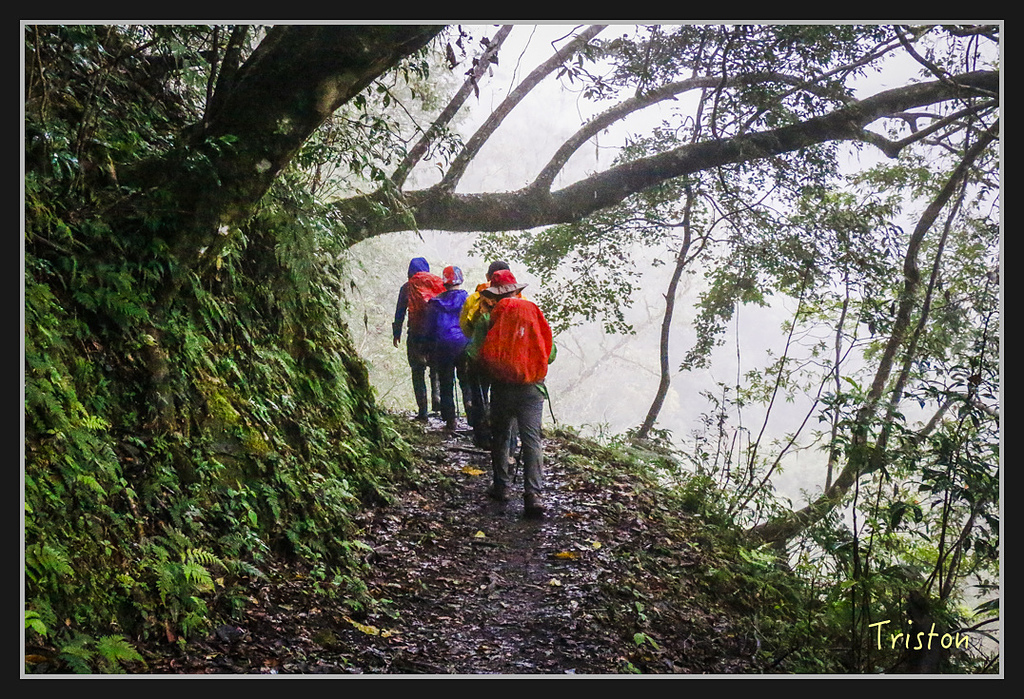 2017-02-27 10.03.53 下午 _MG_0335.jpg - 20170225 玉里瓦拉米