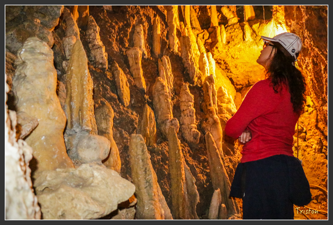 IMG_3219.jpg - 20160220 小崗山健行步道